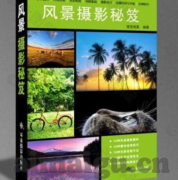 蜜桃视频成人-蜜桃视频，成人娱乐的数字新世界